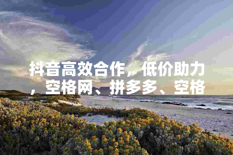 抖音高效合作，低价助力，空格网、拼多多、空格网、空格网，全网最低价，直接下单，赚到钱！