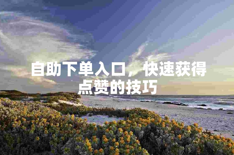 自助下单入口，快速获得点赞的技巧
