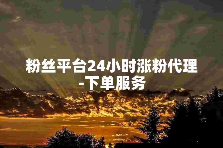 粉丝平台24小时涨粉代理-下单服务