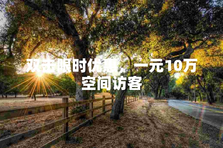 双击限时优惠，一元10万空间访客