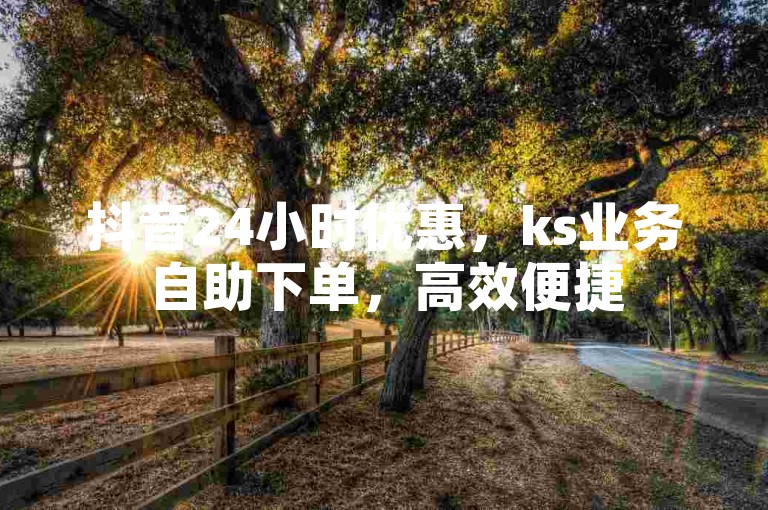 抖音24小时优惠，ks业务自助下单，高效便捷