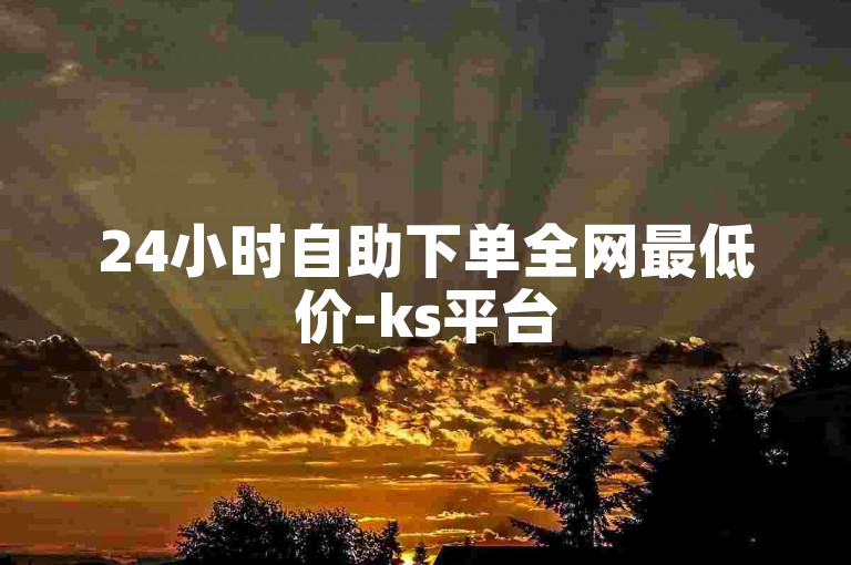 24小时自助下单全网最低价-ks平台