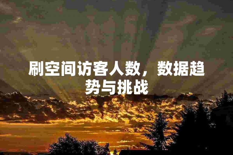 刷空间访客人数，数据趋势与挑战