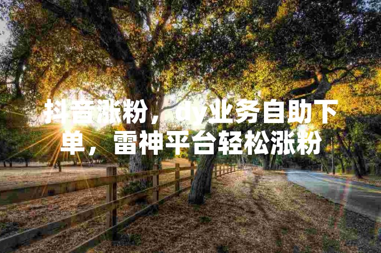 抖音涨粉，dy业务自助下单，雷神平台轻松涨粉