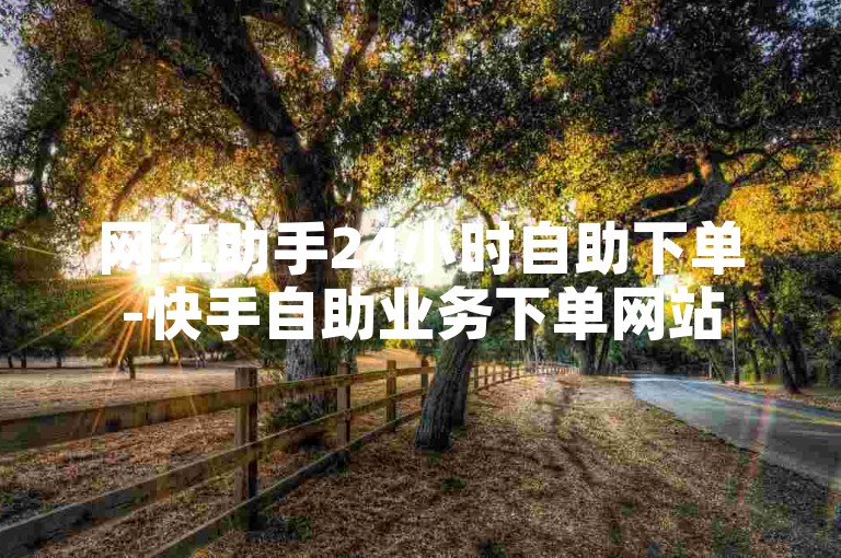 网红助手24小时自助下单-快手自助业务下单网站