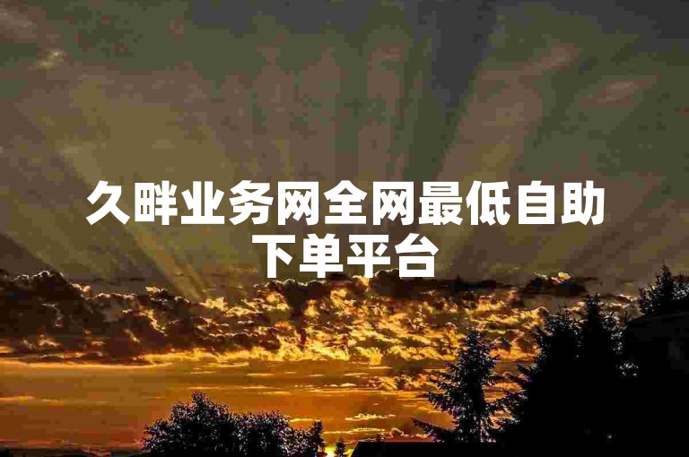 久畔业务网全网最低自助下单平台
