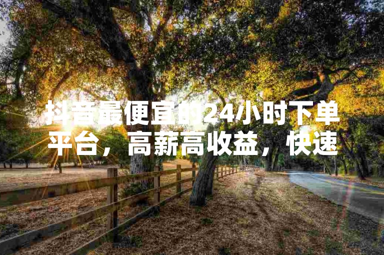 抖音最便宜的24小时下单平台，高薪高收益，快速完成订单