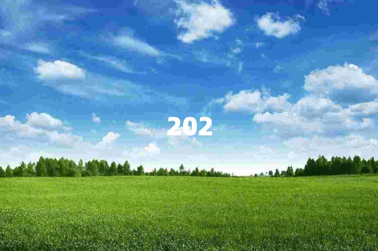 2025年必学，免费获取QQ空间说说点赞的方法与技巧