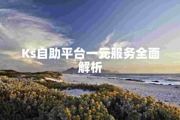 Ks自助平台一元服务全面解析