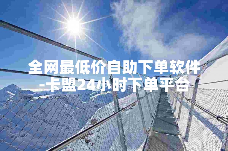 全网最低价自助下单软件-卡盟24小时下单平台