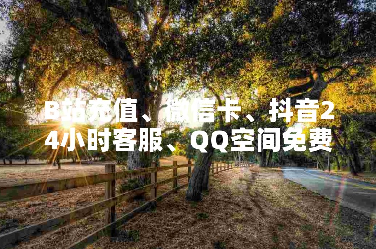 B站充值、微信卡、抖音24小时客服、QQ空间免费访问