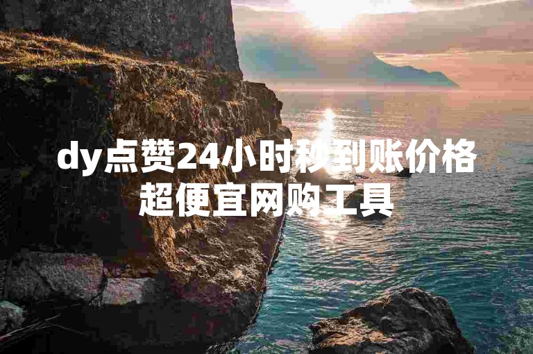 dy点赞24小时秒到账价格超便宜网购工具