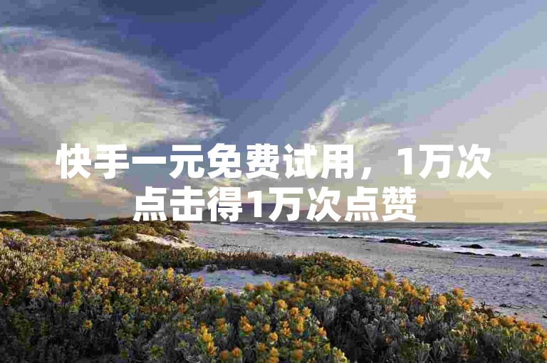 快手一元免费试用，1万次点击得1万次点赞