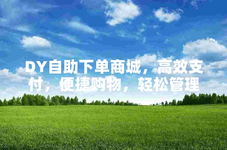 DY自助下单商城，高效支付，便捷购物，轻松管理订单