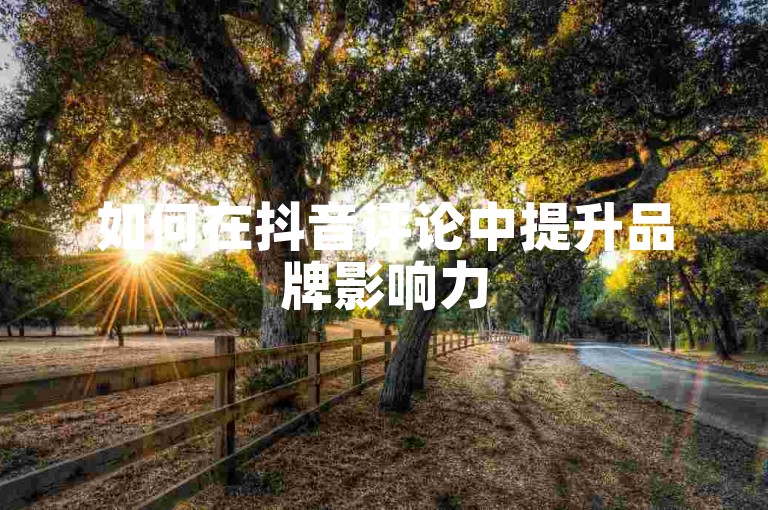 如何在抖音评论中提升品牌影响力