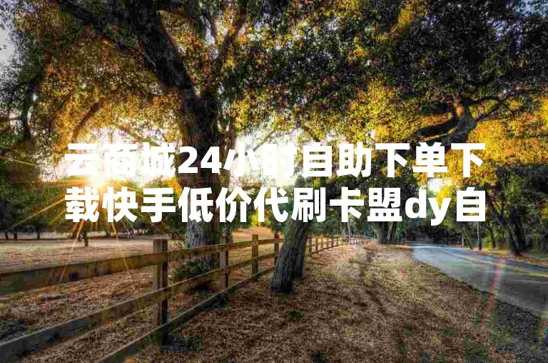 云商城24小时自助下单下载快手低价代刷卡盟dy自助平台业务下单真人