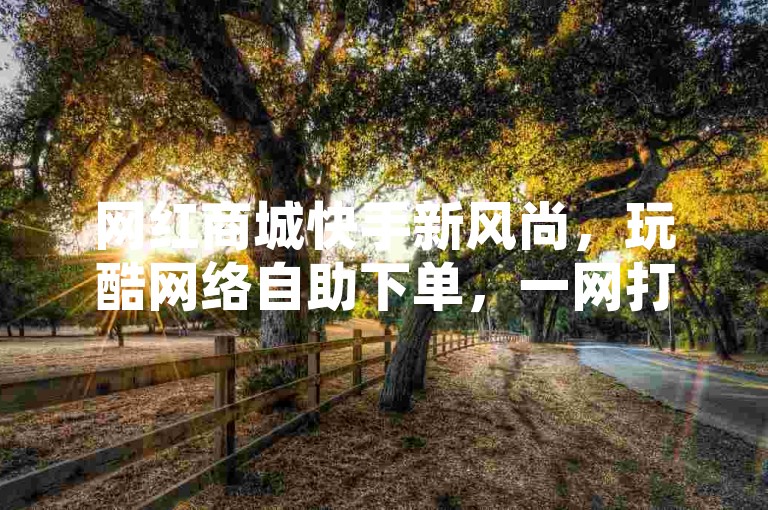 网红商城快手新风尚，玩酷网络自助下单，一网打尽！