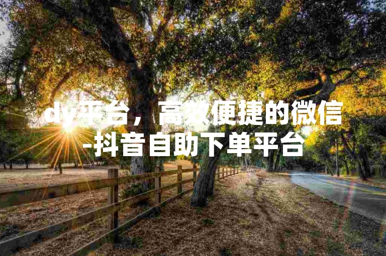 dy平台，高效便捷的微信-抖音自助下单平台