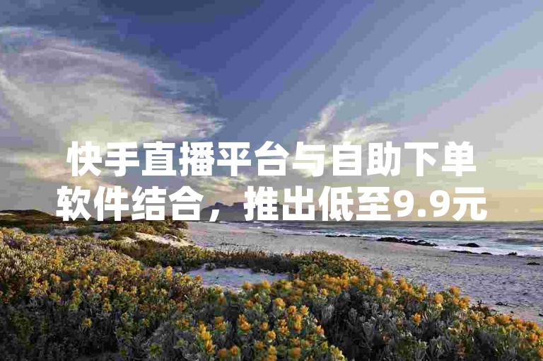 快手直播平台与自助下单软件结合，推出低至9.9元的dy自助下单服务