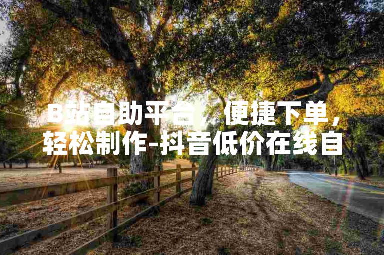 B站自助平台，便捷下单，轻松制作-抖音低价在线自助平台