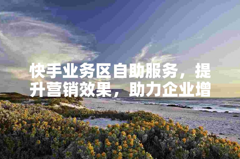 快手业务区自助服务，提升营销效果，助力企业增长