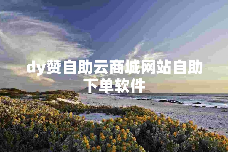 dy赞自助云商城网站自助下单软件