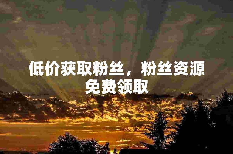 低价获取粉丝，粉丝资源免费领取