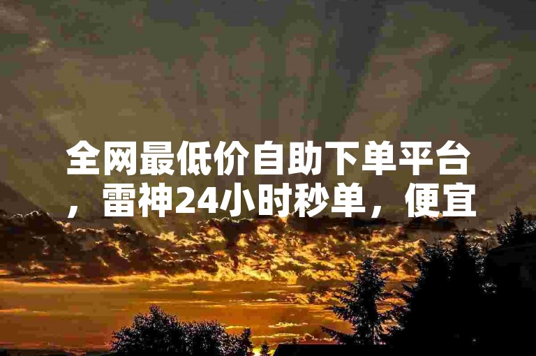全网最低价自助下单平台，雷神24小时秒单，便宜卡盟，轻松交易。