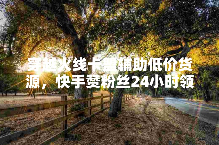 穿越火线卡盟辅助低价货源，快手赞粉丝24小时领取，独家揭秘再战！资源隐藏，助力快速获取！