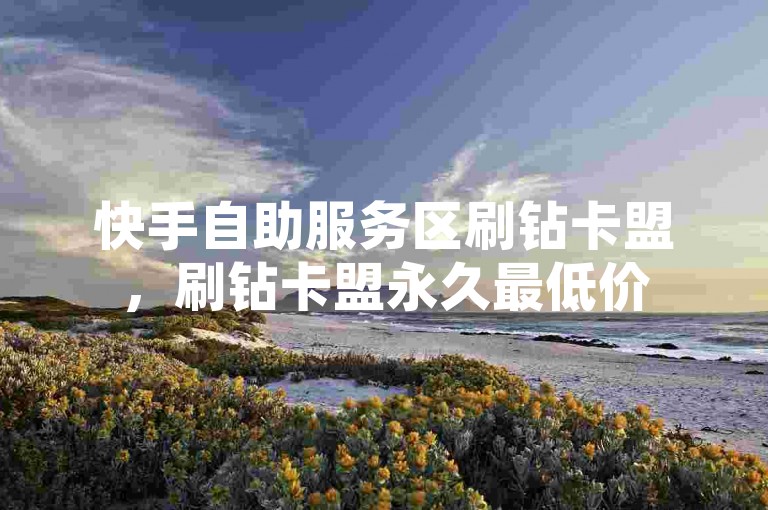 快手自助服务区刷钻卡盟，刷钻卡盟永久最低价