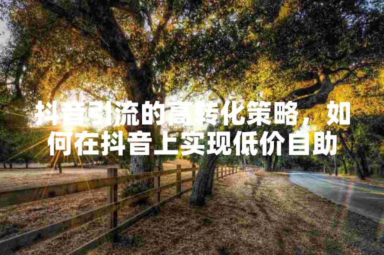 抖音引流的高转化策略，如何在抖音上实现低价自助推广