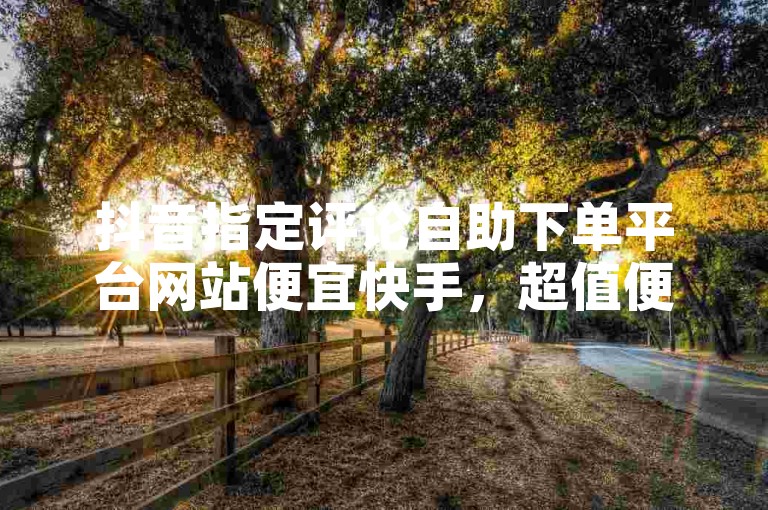 抖音指定评论自助下单平台网站便宜快手，超值便捷购物推荐
