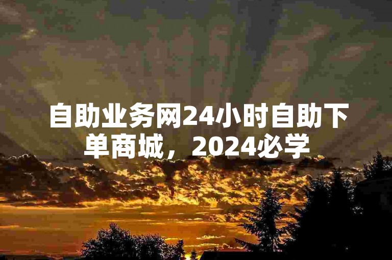 自助业务网24小时自助下单商城，2024必学