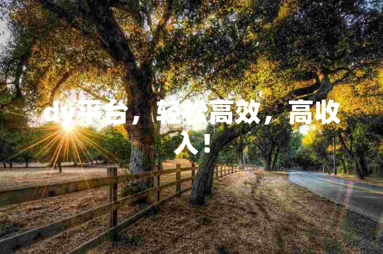 dy平台，轻松高效，高收入！