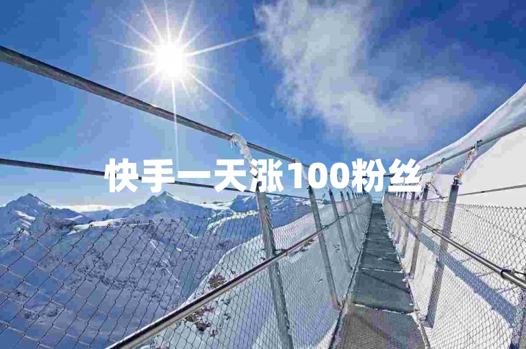 快手一天涨100粉丝