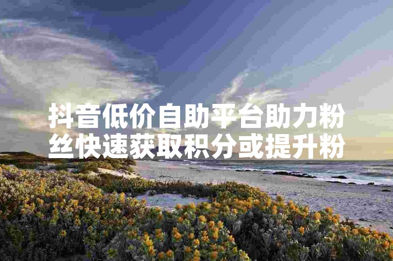 抖音低价自助平台助力粉丝快速获取积分或提升粉丝数量！