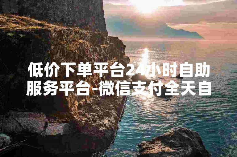 低价下单平台24小时自助服务平台-微信支付全天自助下单，便捷支付