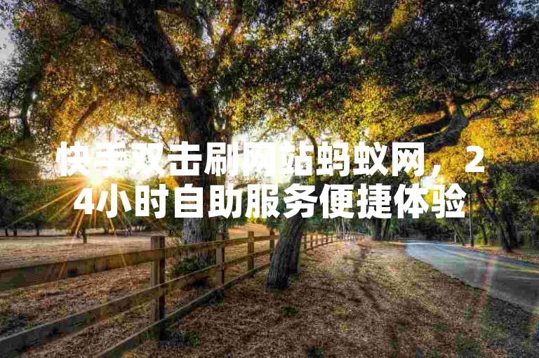 快手双击刷网站蚂蚁网，24小时自助服务便捷体验
