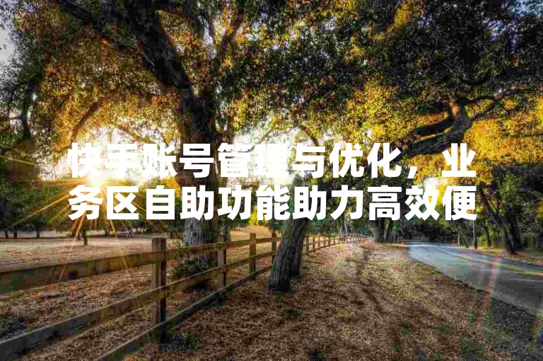 快手账号管理与优化，业务区自助功能助力高效便捷