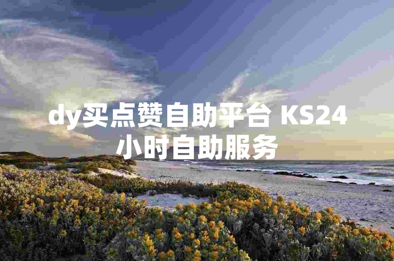 dy买点赞自助平台 KS24小时自助服务