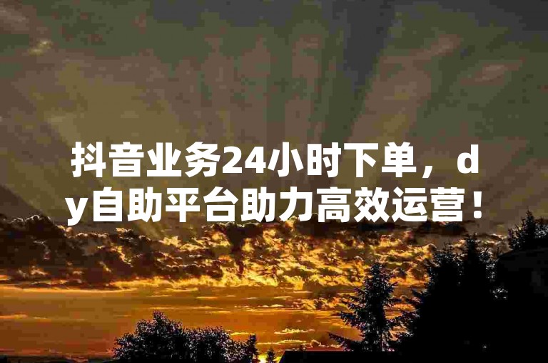 抖音业务24小时下单，dy自助平台助力高效运营！