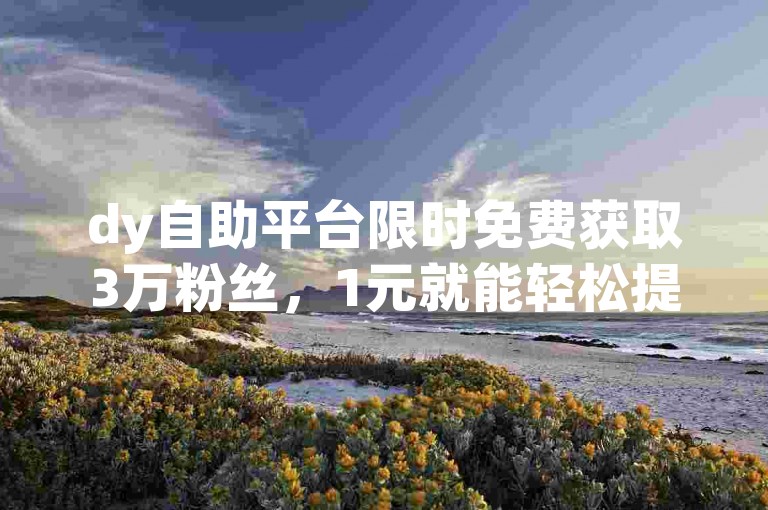 dy自助平台限时免费获取3万粉丝，1元就能轻松提升流量！