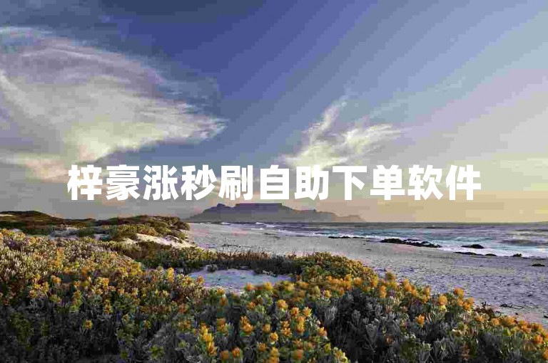 梓豪涨秒刷自助下单软件