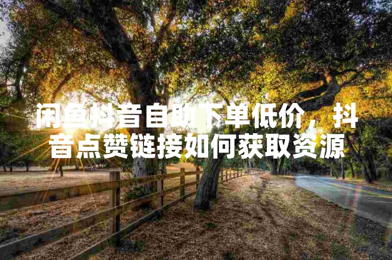 闲鱼抖音自助下单低价，抖音点赞链接如何获取资源曝光