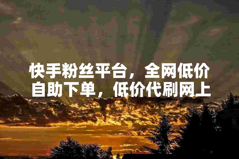 快手粉丝平台，全网低价自助下单，低价代刷网上的资源