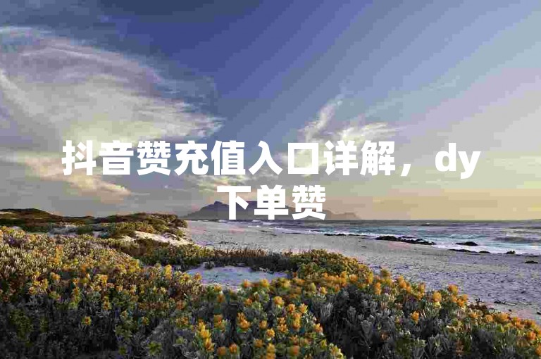 抖音赞充值入口详解，dy下单赞