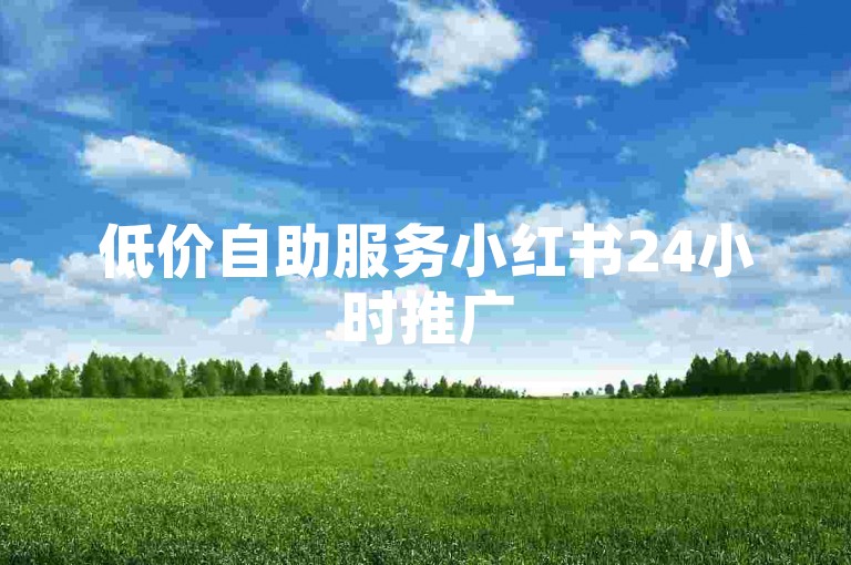 低价自助服务小红书24小时推广