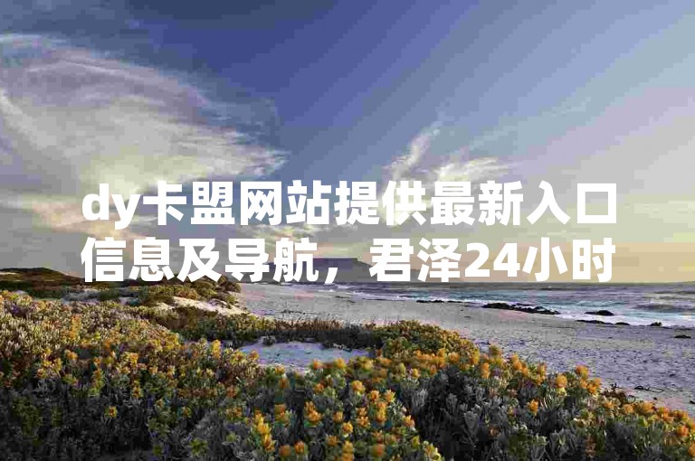 dy卡盟网站提供最新入口信息及导航，君泽24小时下单平台，热血重燃！软件