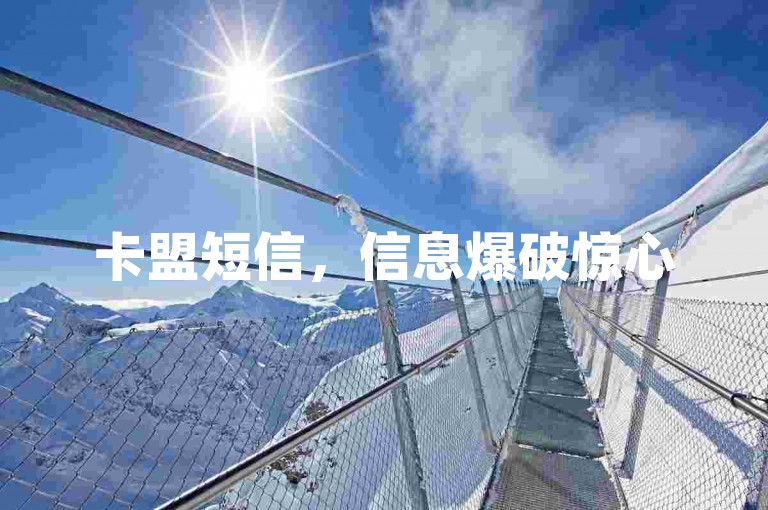 卡盟短信，信息爆破惊心
