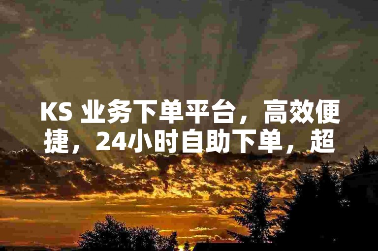 KS 业务下单平台，高效便捷，24小时自助下单，超便宜！
